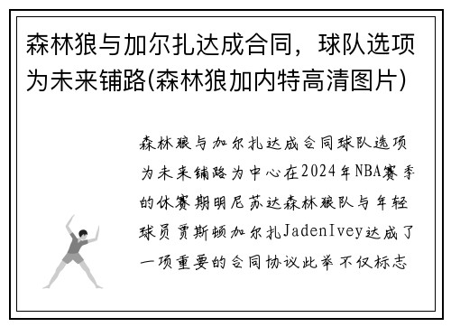森林狼与加尔扎达成合同，球队选项为未来铺路(森林狼加内特高清图片)