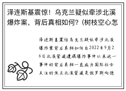 泽连斯基震惊！乌克兰疑似牵涉北溪爆炸案，背后真相如何？(树枝空心怎么办)