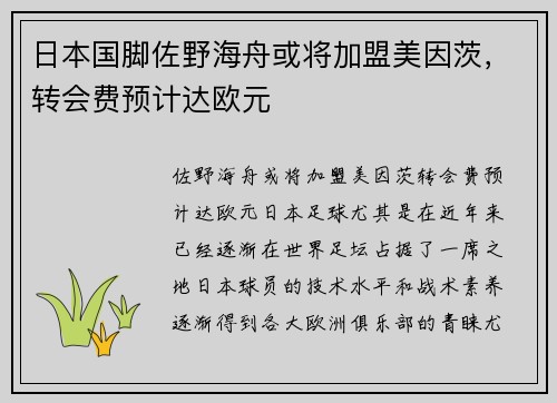 日本国脚佐野海舟或将加盟美因茨，转会费预计达欧元