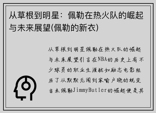 从草根到明星：佩勒在热火队的崛起与未来展望(佩勒的新衣)