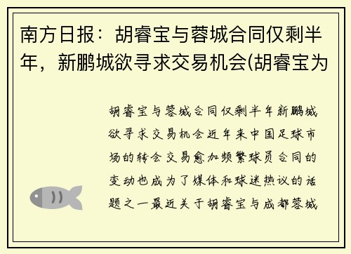 南方日报：胡睿宝与蓉城合同仅剩半年，新鹏城欲寻求交易机会(胡睿宝为什么叫曼城名宿)