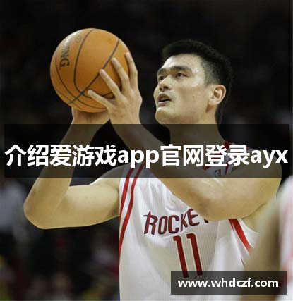 介绍爱游戏app官网登录ayx